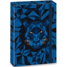 Кутия с ластик Ars Una Black Panther - А4  