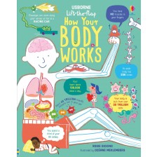 Lift-the-Flap: How Your Body Works -1