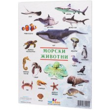 Образователно табло Top Kids - Морски животни -1