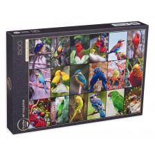 Пъзел Grafika от 1500 части - Най-красивите птици в света -1