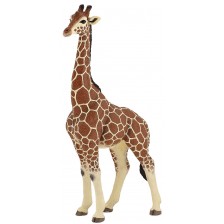 Фигурка Papo Wild Animal Kingdom – Мъжки жираф -1