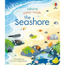 Peep Inside the Seashore -1