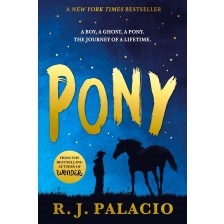 Pony -1