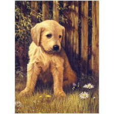 Рисуване по номера с акрилни бои Junior - Кученце
