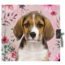 Таен дневник с катинар Paso – Сладко куче, Paso Dog