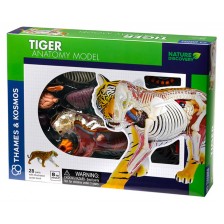 Детски комплект Kosmos -  Анатомия на тигър -1