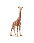 Фигурка Schleich Wild Life Africa - Жираф мрежест, женски - 1t