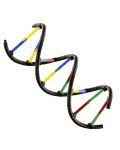 Комплект за експерименти Kosmos - Генетика и ДНК - 3t