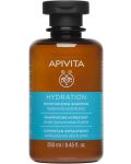 Apivita Hydration Хидратиращ шампоан, 250 ml - 1t