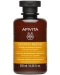 Apivita Възстановяващ шампоан за суха коса, 250 ml - 1t