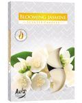 Ароматни чаени свещи Bispol Aura - Blooming Jasmine, 6 броя - 1t