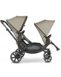 Бебешка количка за близнаци ABC Design Classic Edition - Zoom, Reed  - 3t