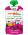 Био пюре Pumpkin Organics - Пауч с тиква, сладък картоф и круша, 100 g - 1t