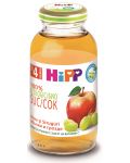Био плодов сок Hipp - Ябълки и грозде, 200 ml  - 1t