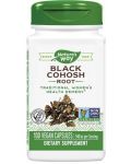 Black Cohosh Root, 100 капсули, Nature's Way - 1t