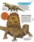 Детска енциклопедия: Динозаврите - 2t