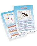 Изследователски комплект Buki Nature - Мини света на мравките - 5t