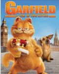 Гарфилд 2 (DVD) - 1t