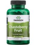 Chasteberry Fruit, 400 mg, 120 капсули, Swanson - 1t