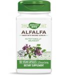 Alfalfa, 405 mg, 100 капсули, Nature's Way - 1t
