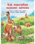 Как порастват малките зайчета - 1t