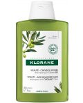 Klorane Olive Уплътняващ шампоан, 200 ml - 1t