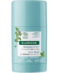 Klorane Mint Комплект -  Почистващ крем и Стик-маска, 40 ml + 25 g (Лимитирано) - 4t