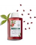 Klorane Pomegranate Шампоан за боядисана коса, 200 ml - 3t