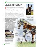 Моята първа книга за животните в България - 2t