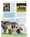 Моята първа книга за животните в България - 3t