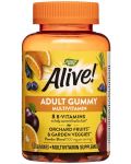 Alive Adult Gummy Multivitamin, 50 таблетки, Nature's Way - 1t