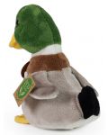 Музикална плюшена играчка Rappa Еко приятели - Зеленоглава патица, 17 cm - 4t