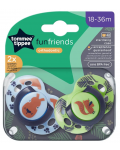 Ортодонтични залъгалки Tommee Tippee - Fun Friends, 18-36 м, 2 броя, Заек/Катерица - 6t