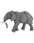Фигурка Papo Wild Animal Kingdom – Африкански слон - 1t
