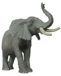 Фигурка Papo Wild Animal Kingdom – Слон - 1t