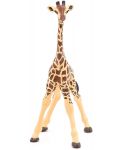 Фигурка Papo Wild Animal Kingdom – Малко жирафче - 4t