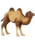 Фигурка Papo Wild Animal Kingdom – Двугърба камила - 1t
