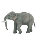 Фигурка Papo Wild Animal Kingdom – Азиатски слон - 1t