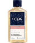 Phyto Color Шампоан за защита на цвета, 250 ml - 1t
