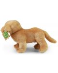 Плюшена играчка Rappa Еко приятели - Куче Лабрадор, 20 cm - 4t