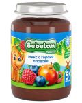 Плодово пюре Bebelan Puree - Горски плодове, 190 g - 1t
