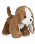 Плюшена играчка Kaloo - Кучето Тирамису, 14 сm - 2t