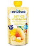 Плодово бебешко пюре Hamanek - Пауч с круши и банан, 120 g - 1t