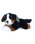 Плюшена играчка Rappa Еко приятели - Куче Бернски зененхунд, лежащо, 23 cm - 1t