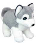 Плюшена играчка Wild Planet - Кученце Хъски, 25 cm - 1t