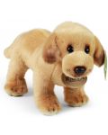 Плюшена играчка Rappa Еко приятели - Куче Лабрадор, 20 cm - 3t