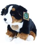 Плюшена играчка Rappa Еко приятели - Куче Бернски зененхунд, седящо, 25 cm - 2t