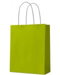 Подаръчна торба S. Cool - крафт, зелена, L, 12 броя - 1t