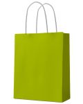 Подаръчна торба S. Cool - крафт, зелена, М, 12 броя - 1t