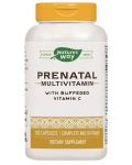 Prenatal Multivitamin, 180 капсули, Nature's Way - 1t